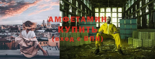 шишки Алексеевка