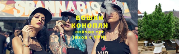 шишки Алексеевка