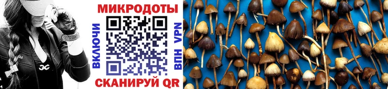 Псилоцибиновые грибы Cubensis цена наркотик Вихоревка